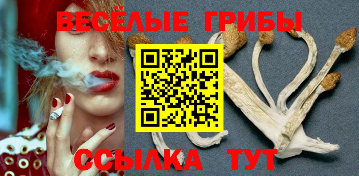 Псилоцибиновые грибы мухоморы Скопин