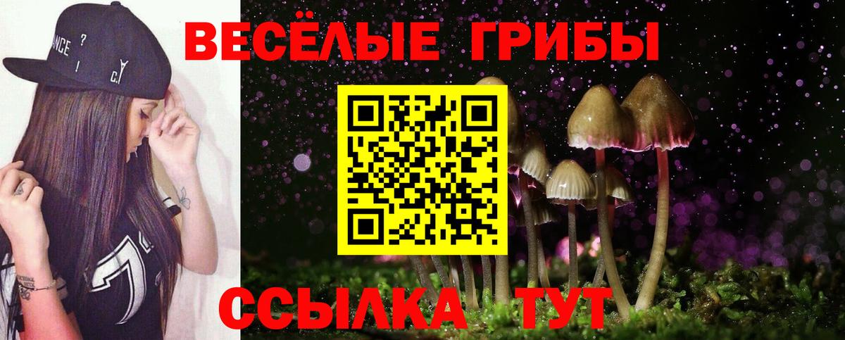 Скопин  Псилоцибиновые грибы MAGIC MUSHROOMS  Вход с VPN 